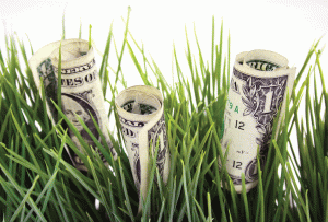 10-Tips-for-Investing-in-Green-Art1